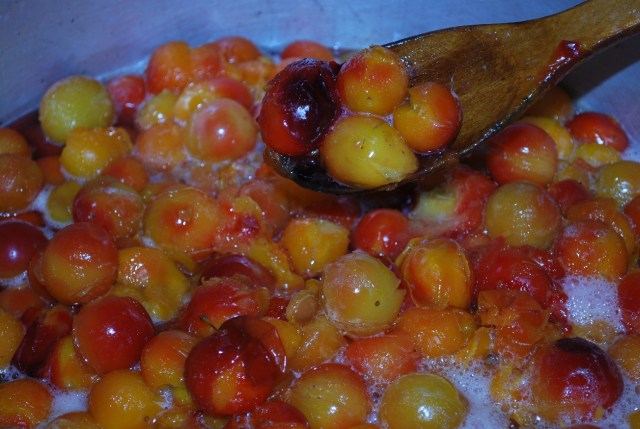 Add Plums to a deep pot - Copy