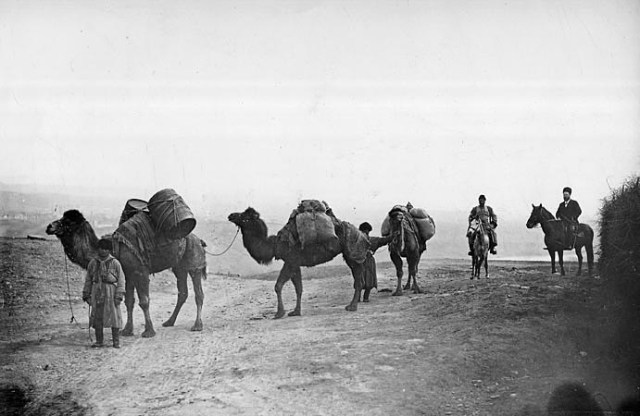Camel caravan from Persia. Photo by Dimitri Ermakov.