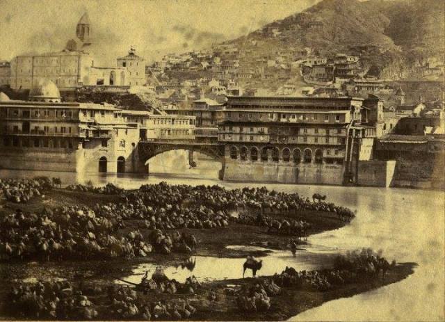 Hundreds of camels resting by the Mtkvari River in Tiflis.