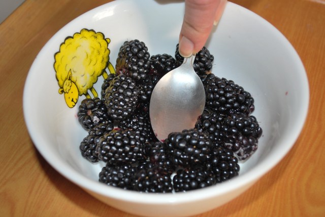 Mashing Blackberries - Copy