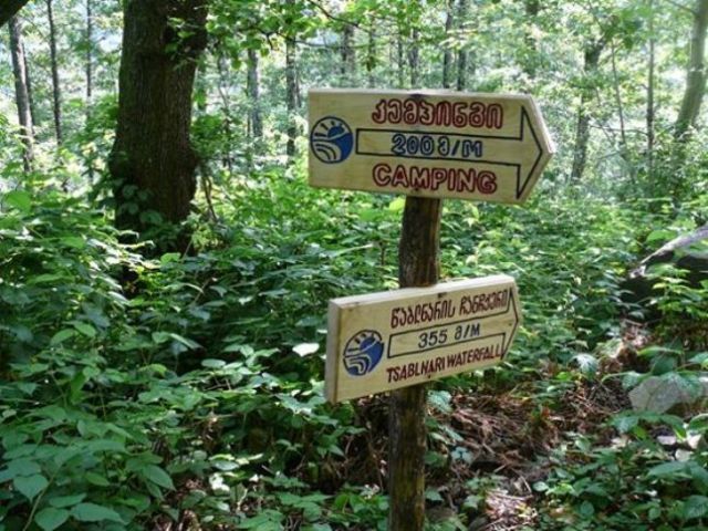 Mtirala National Park_8