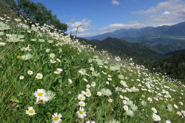 The Panorama Trail in Borjomi-Kharagauli National Park