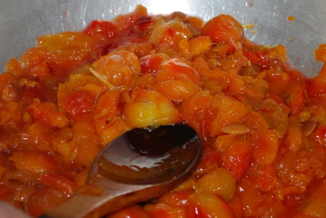 Removing Juice from the plums - Copy