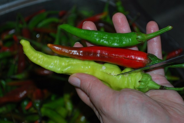 Slitting the Peppers