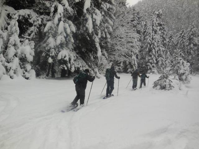 Visitors using the Snowshoe trail in Borjomi-Kharagauli National Park 