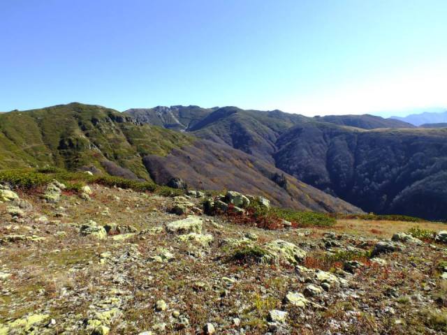 Sub-alpine zone of the Kintrishi Protected Areas 