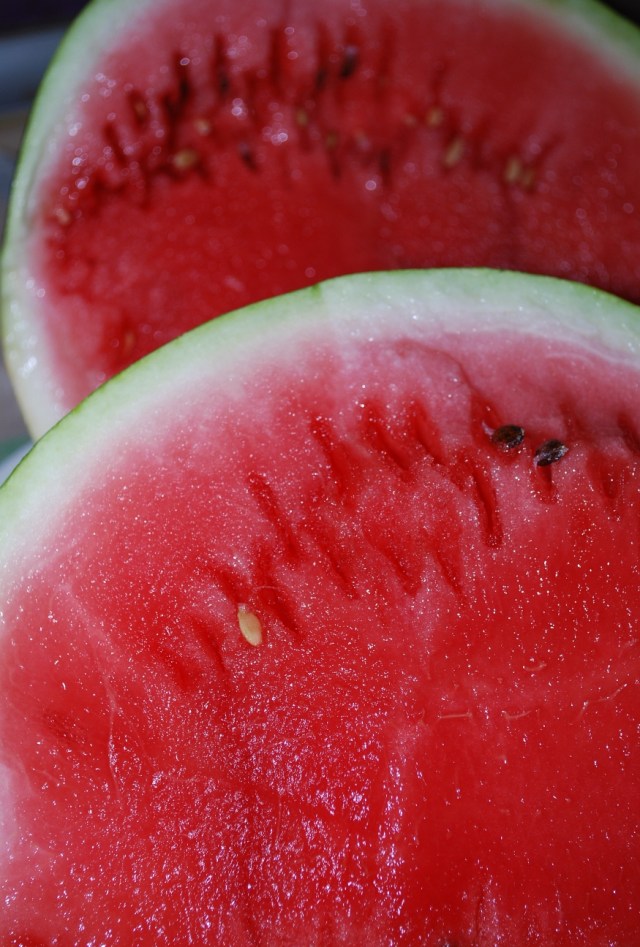 Thick Skinned Watermelon - Copy