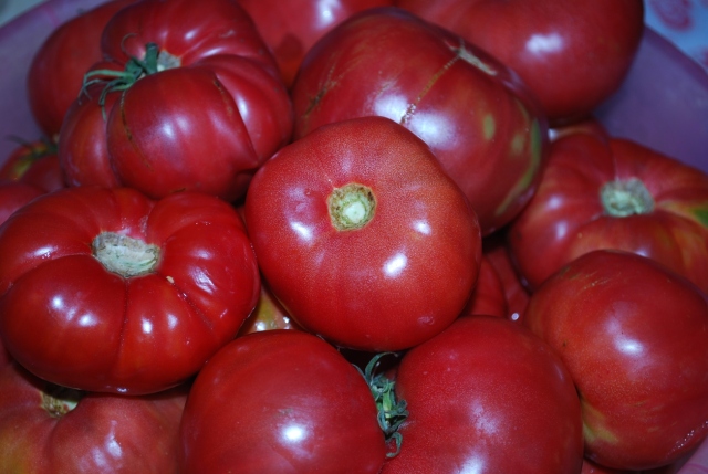 Tomatoes - Copy