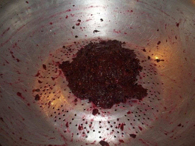Grape pulp and seeds - Copy