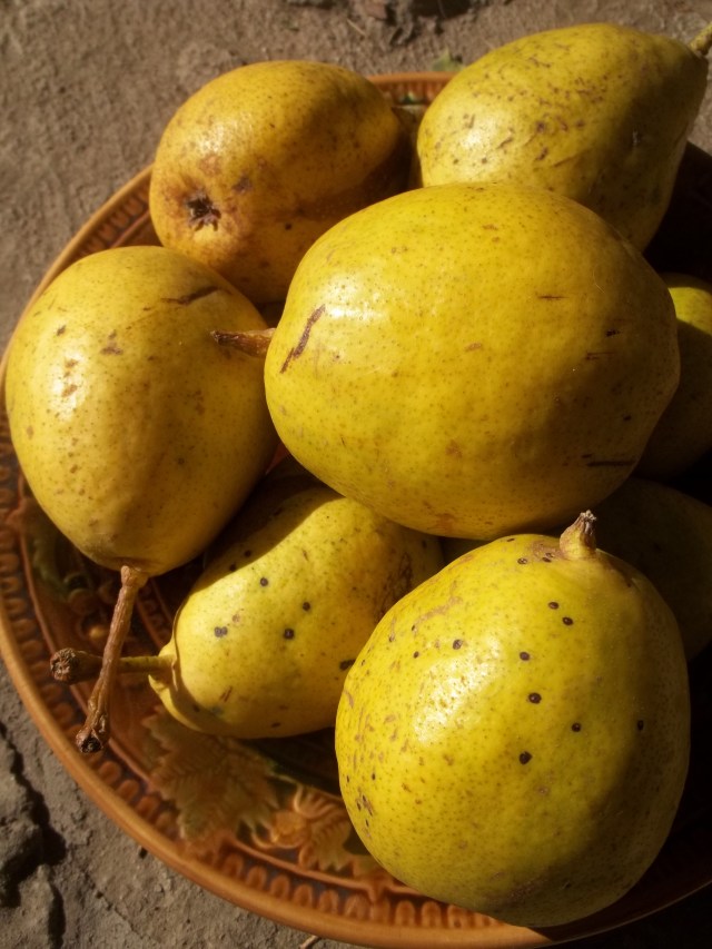 Pears