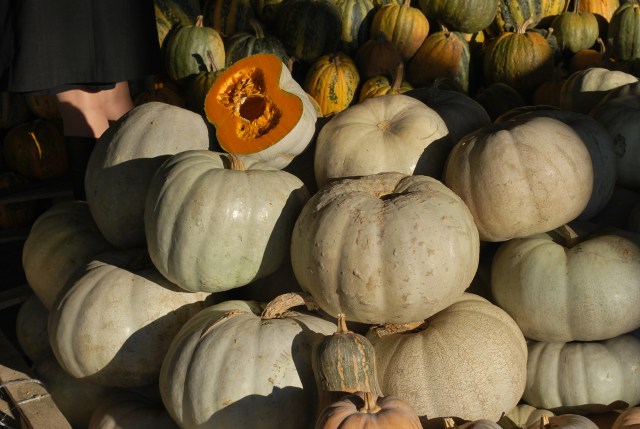 Pumpkins at the Dezerter Bazaar