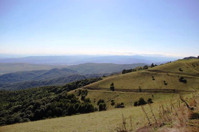 Tbilisi National Park