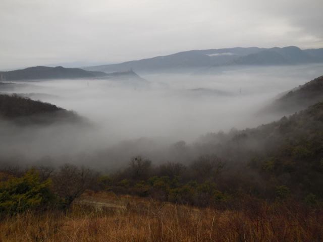 Tbilisi National Park