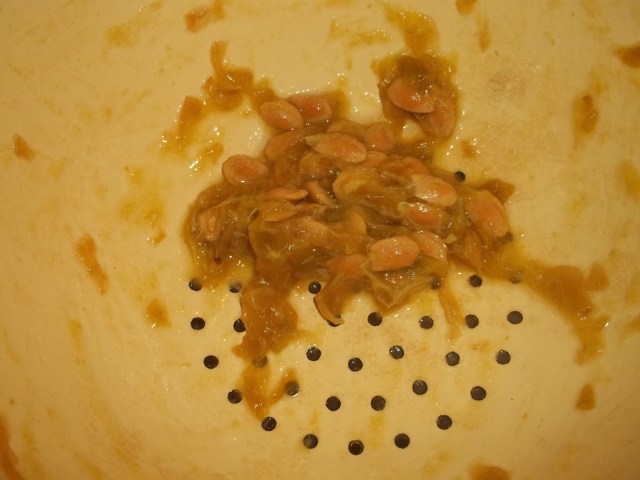 Squash the juice from the Alucha