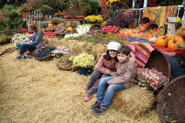 Autumn harvest display at Tbilisoba 2015