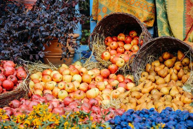 Autumn fruit display at Tbilisoba 2015